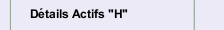 D&eacute;tails Actifs "H"