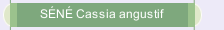 S&Eacute;N&Eacute; Cassia angustif